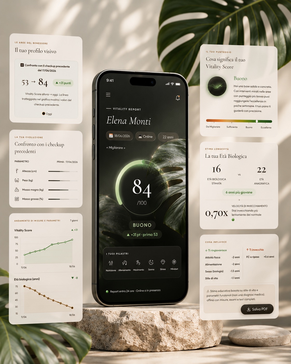 Mockup del Vitality Checkup